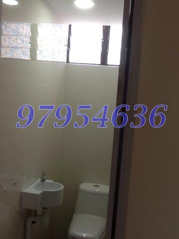 Chuan Park (Enbloc) (D19), Condominium #111566432